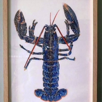 homard bleu