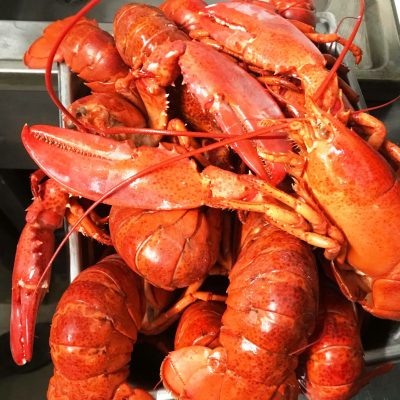 homards cuits